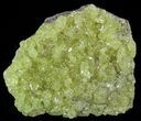Sulfur Crystals on Matrix - Bolivia #51588-2